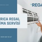 Darıca Regal klima servisi